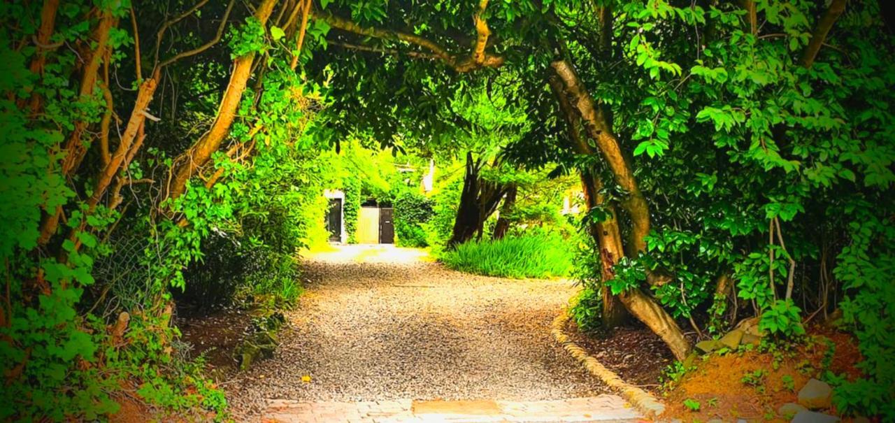 Vila Charming Victorian Coach House Jordanstown Exteriér fotografie